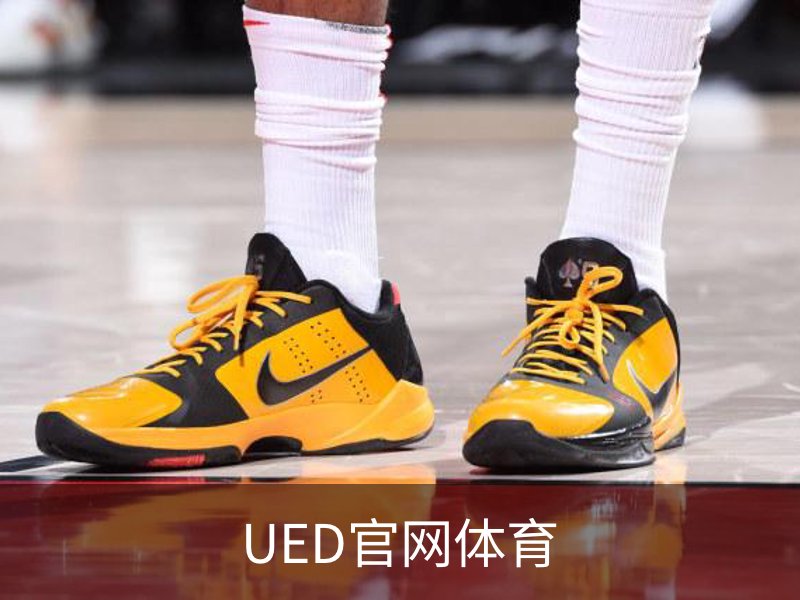UED官网体育概况